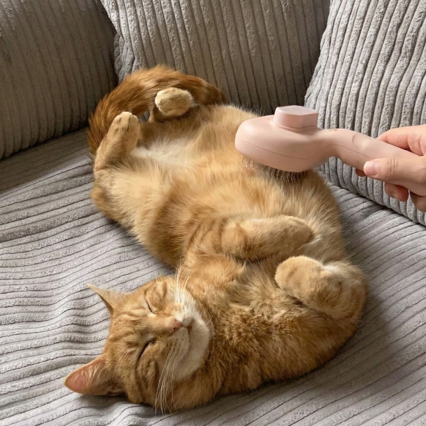 Shedding Glow™ - A Cleaner & Calmer Way to Bathe Your Pet